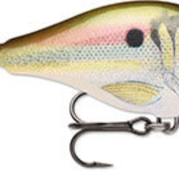 Señuelo Duro Rapala X-Light Crank Shallow Runner 3.5cm - Leurre de la pêche