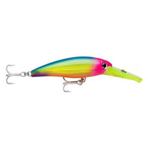 Leurre De Pêche Rapala X-Rap Magnum Stick 17cm 88g - Pour Mer Et Eau Douce, Nage Variable - Couleur Anchovy - 7