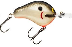 Leurre De Pêche Vintage Bagley Divin B3 – Bois, Stock Ancien, Carnassiers