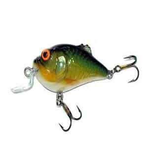 SALMO Discontinued Deep 1 3/4" 1/4oz Boxer BX4SDR-RR in Color REAL ROACH Lure 