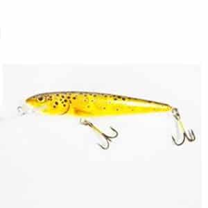 Salmo Whitefish-T-Trout