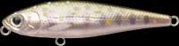 Lucky Craft Bevy Pencil color-837-PCHSD-Pearl Char Shad-Pearl Iwana