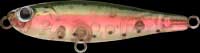 Lucky Craft NW Pencil color-817-GRBT-Ghost Rainbow Trout