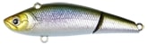 Lucky Craft Beats Color Scale Japan Shad-5825