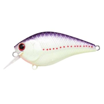 Lucky Craft LC Silent Squarebill Color Purple Perch-405