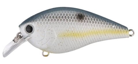 Lucky Craft LC Silent Squarebill Color Sexy Chartreuse Shad-172