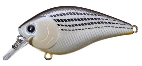Lucky Craft LC Silent Squarebill Color TX White Bass-187