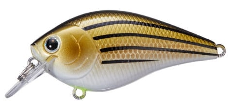 Lucky Craft LC Silent Squarebill Color TX Yellow Bass-173