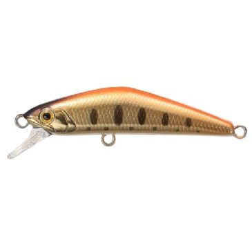 Smith D-Compact Orange Haku
