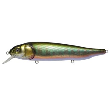 Megabass Lates Color Wagin Oikawa