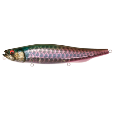 Megabass Megadog-X