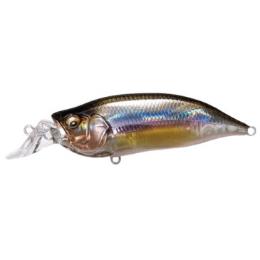 Megabass IXI Shad Type R Color Kasumi Ito