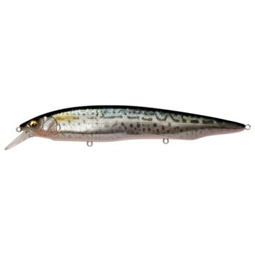 Megabass Kanata SW FA Saba