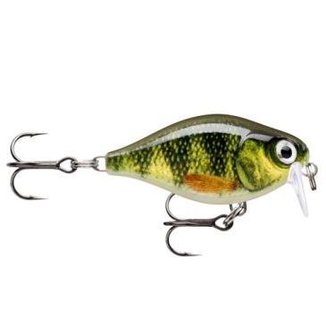 rapala x-light crank shallow runner color live perch