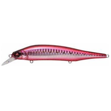 megabass x-80 magnum color gg heat iwashi