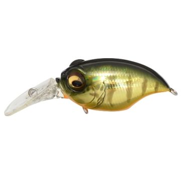 Megabass Griffon Mr-X Color Gg Kasumi Tiger