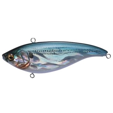 Megabass Konosirus color Gg Kohada